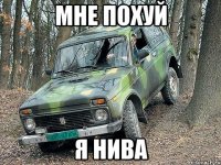 мне похуй я нива