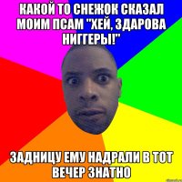 Какой то снежок сказал моим псам "Хей, здарова ниггеры!" Задницу ему надрали в тот вечер знатно