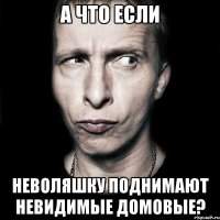 А что если Неволяшку поднимают невидимые домовые?