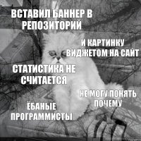 Вставил баннер в репозиторий И картинку виджетом на сайт Статистика не считается Не могу понять почему Ёбаные программисты