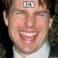 xcv 