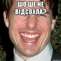 шО ШЕ НЕ ВІДСОХЛА? 