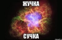 Жучка Сучка