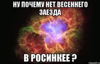 Ну почему нет весеннего заезда в Росинкее ?