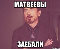 Матвеевы ЗАЕБАЛИ