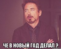  Че в новый год делал ?