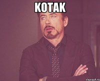 kotak 