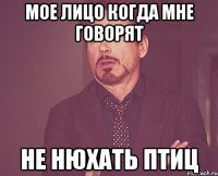 мое лицо когда мне говорят не нюхать птиц