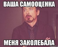 ваша самооценка меня заколебала