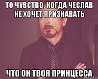 ТО ЧУВСТВО, КОГДА ЧЕСЛАВ НЕ ХОЧЕТ ПРИЗНАВАТЬ ЧТО ОН ТВОЯ ПРИНЦЕССА