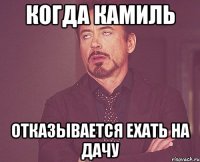 Когда Камиль Отказывается ехать на дачу