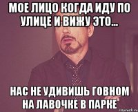 МОЕ ЛИЦО КОГДА ИДУ ПО УЛИЦЕ И ВИЖУ ЭТО... НАС НЕ УДИВИШЬ ГОВНОМ НА ЛАВОЧКЕ В ПАРКЕ