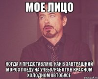 Мое лицо Когда я представляю, как в завтрашний мороз поеду на учебу/работу в красном холодном автобусе