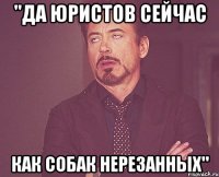 "Да юристов сейчас как собак нерезанных"