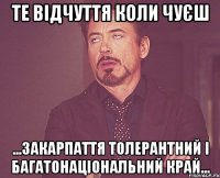 ТЕ ВІДЧУТТЯ КОЛИ ЧУЄШ ...ЗАКАРПАТТЯ ТОЛЕРАНТНИЙ І БАГАТОНАЦІОНАЛЬНИЙ КРАЙ...