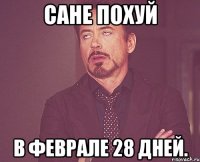 Сане похуй В феврале 28 дней.