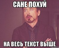 сане похуй на весь текст выше