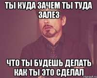 ты куда зачем ты туда залез что ты будешь делать как ты это сделал