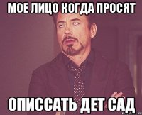 Мое лицо когда просят Описсать дет сад