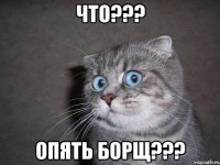 ЧТО??? ОПЯТЬ БОРЩ???