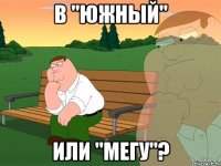 В "южный" Или "мегу"?