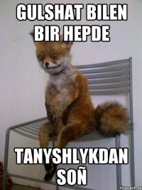 GULSHAT bilen bir hepde Tanyshlykdan soñ