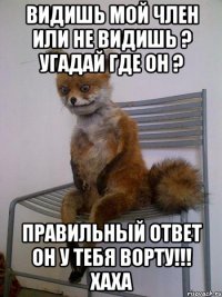 Видишь мой член или не видишь ? Угадай где он ? Правильный ответ он у тебя воРТУ!!! ХАХА