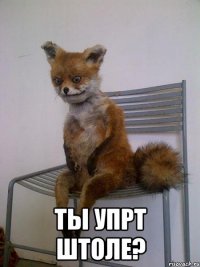  ты упрт штоле?