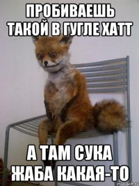 пробиваешь такой в гугле хатт а там сука жаба какая-то