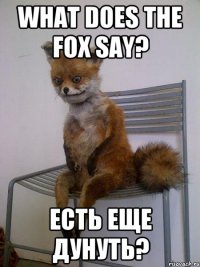 What does the fox say? Есть еще дунуть?