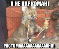 Я не наркоман! я РАСТОМАААААААААААААН!!!!