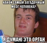 Какой самый загадочный мозг человека? Я думаю это орган