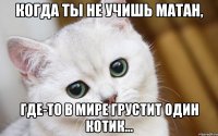 Когда ты не учишь матан, где-то в мире грустит один котик...