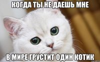 Когда ты не даешь мне в мире грустит один котик