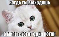 когда ты выходишь в мире грустит один котик