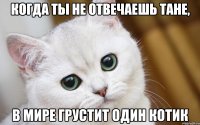 Когда ты не отвечаешь Тане, В мире грустит один котик