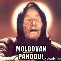  Moldovan pahodu!