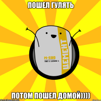 пошел гулять потом пошел домой))))