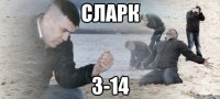 сларк 3-14