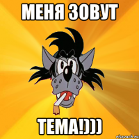 Меня зовут Тема!)))