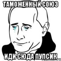 ТАМОЖЕННЫЙ СОЮЗ ИДИ СЮДА ПУПСИК