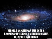  УЁБИЩЕ: Усиленная Ёмкость с Биомеханическим Имплантом для Щедрого Единения