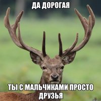 Да дорогая Ты с мальчиками просто друзья