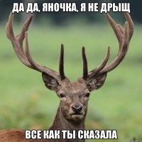 Да да, Яночка, я не дрыщ Все как ты сказала