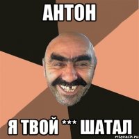 антон я твой *** шатал