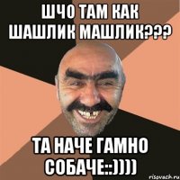 Шчо там Как Шашлик Машлик??? Та наче Гамно Собаче::))))