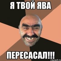 я твой ява пересасал!!!