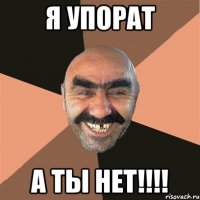 Я упорат а ты нет!!!!