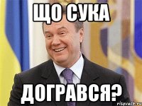 ЩО сука Догрався?