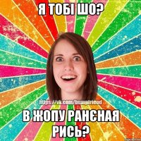 Я тобі шо? В жопу ранєная рись?